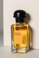 df9505c20485df2aa63b027436ca5c08