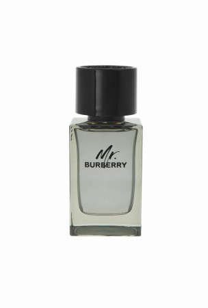 Burberry Mr. Burberry Edt 100ml