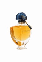 9a825f9ca7dc8dc4cc3cd0276e09a75e