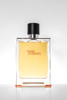 fca832274262b610d51dd503be62ef41