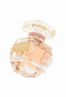 97382acf92ab0ccd2e0207a9d2e5dafb